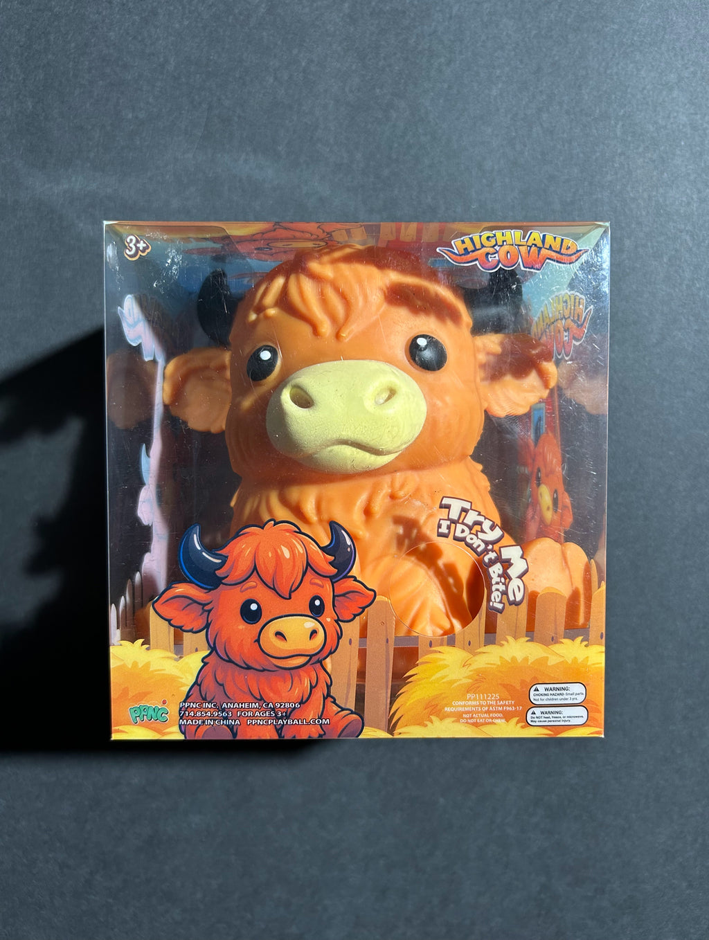 Highland Cow